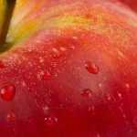 Gracious Grub NYC: Raising funds and awareness for Food Bank for NYC June 17 – 27