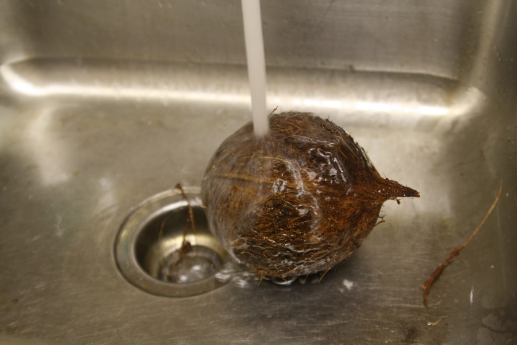 Opening a fresh coconut is easier than you'd think!