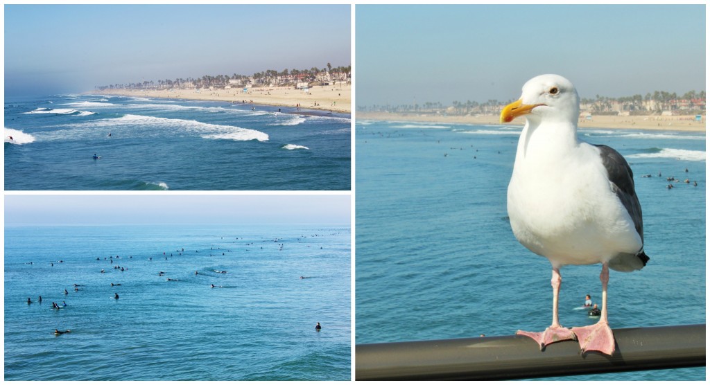 Collage 1