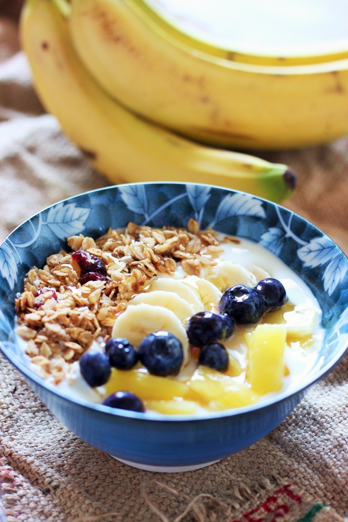 greek-yogurt-energy-bowl-3