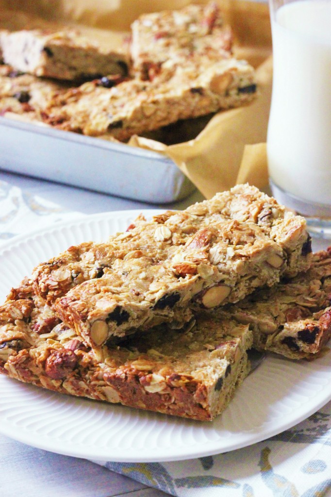 cashew-butter-honey-granola-bars-4