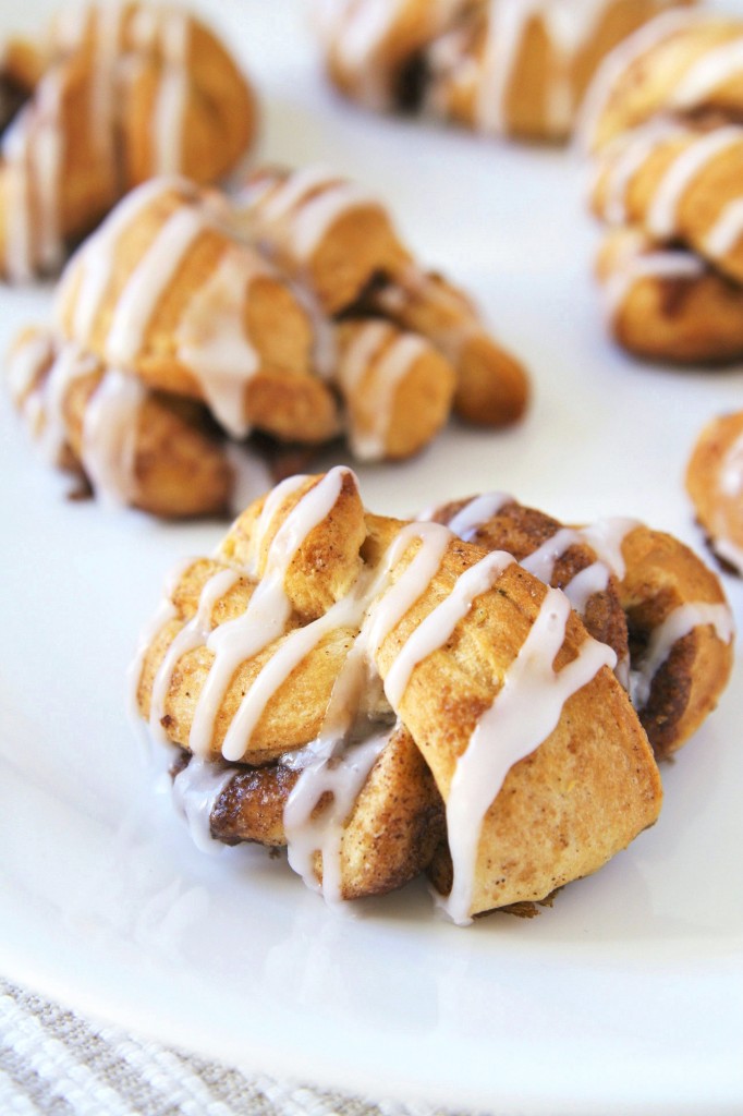 cinnamon-sugar-twisted-knots-1