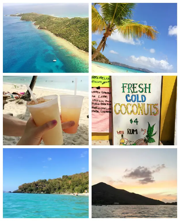 caribbean-week-nyc-collage