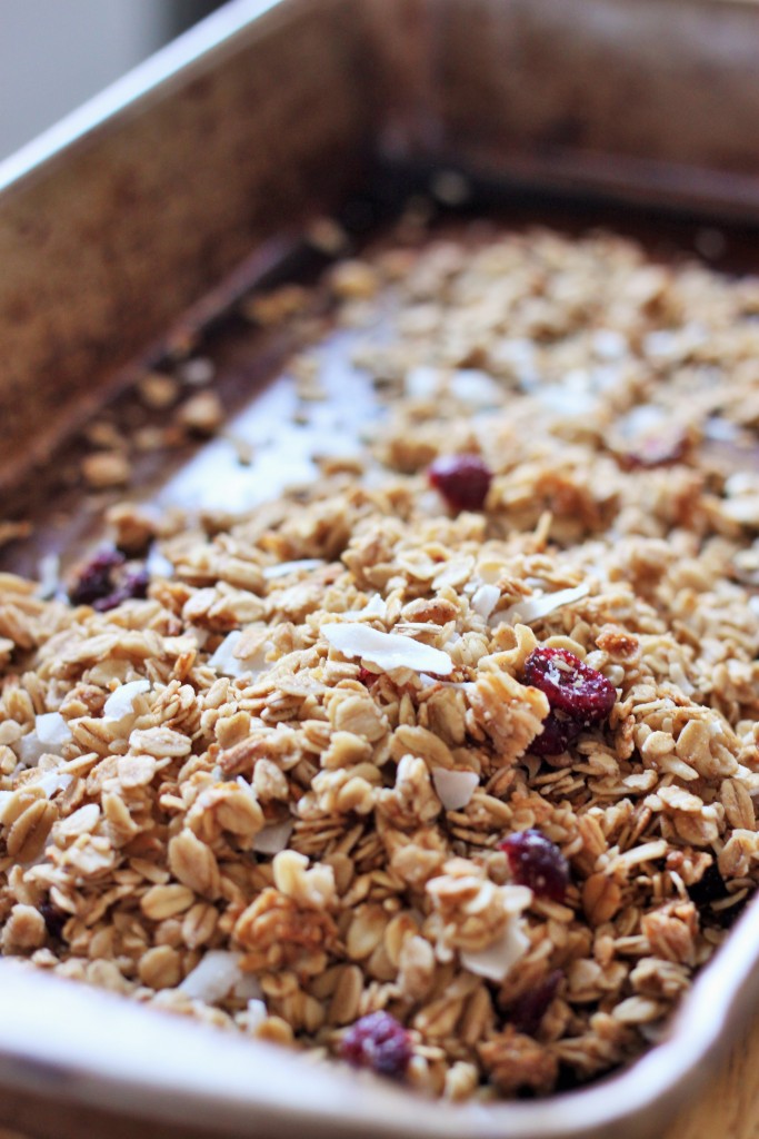 quick-stovetop-granola-2