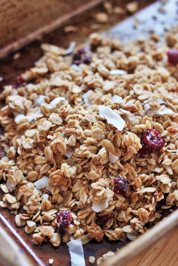 quick-stovetop-granola-3