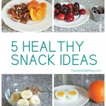 5 Healthy Snack Ideas