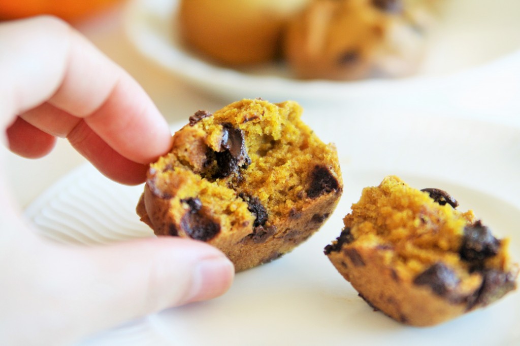 skinny-pumpkin-chocolate-chips-muffins-2