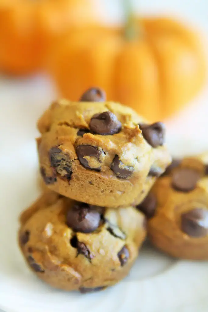 skinny-pumpkin-chocolate-chips-muffins-3