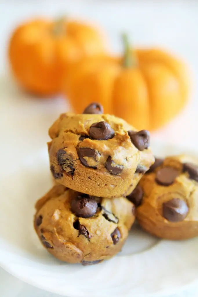 skinny-pumpkin-chocolate-chips-muffins-5
