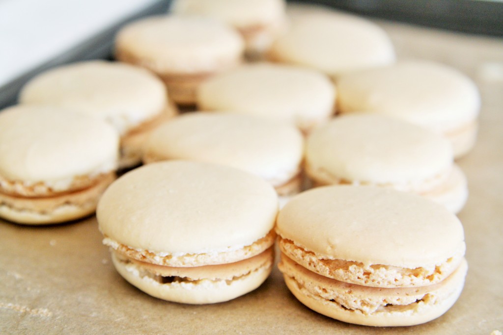 cranberry-vanilla-bean-macarons-1