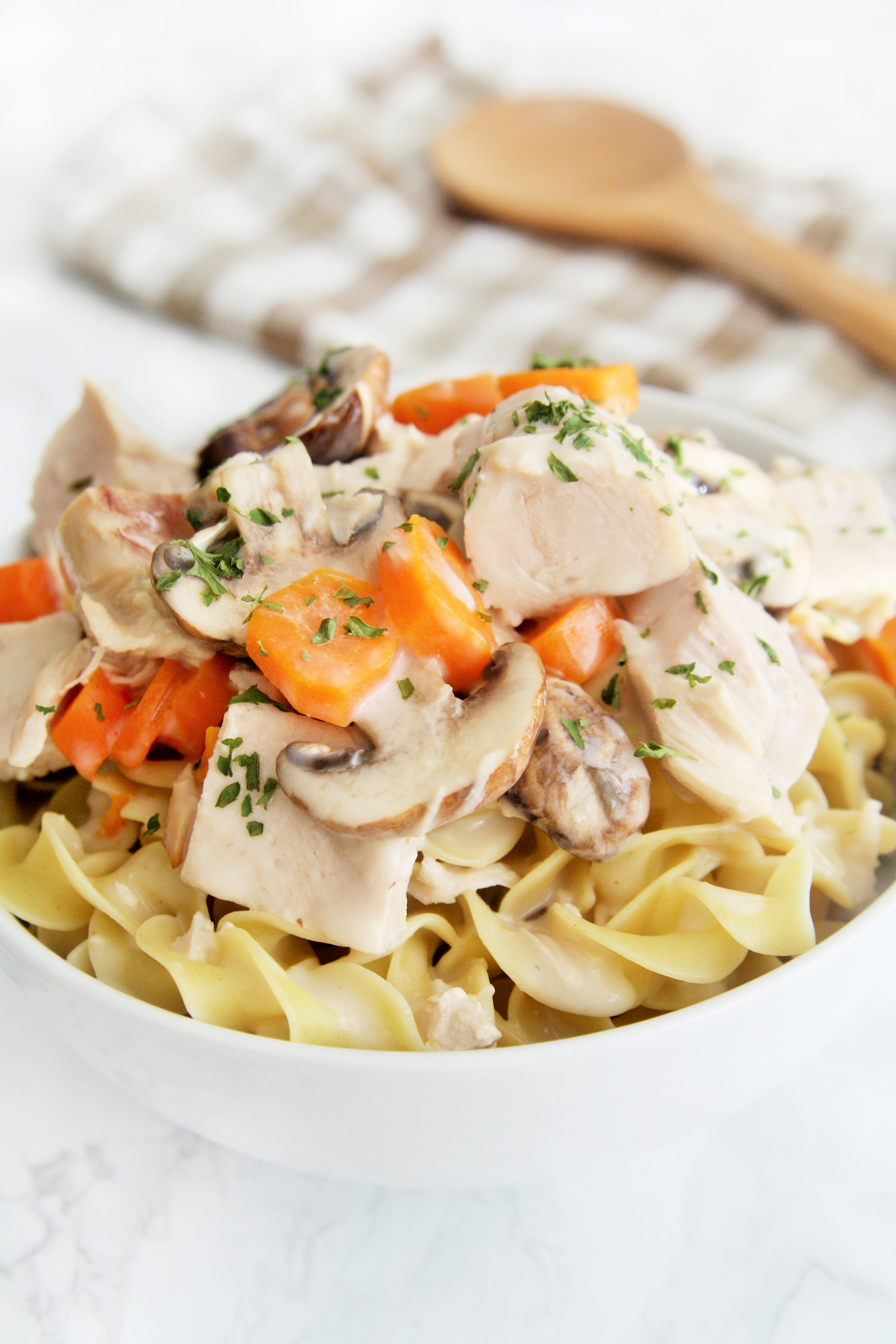 Turkey Mushroom Stroganoff - The Tasty Bite