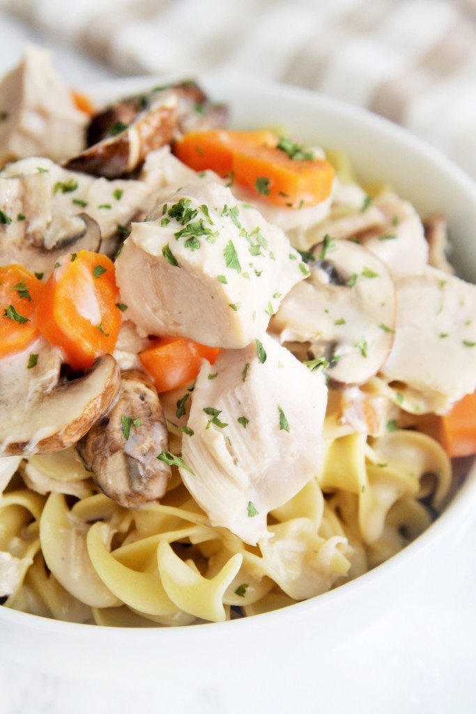 turkey-mushroom-stroganoff-3