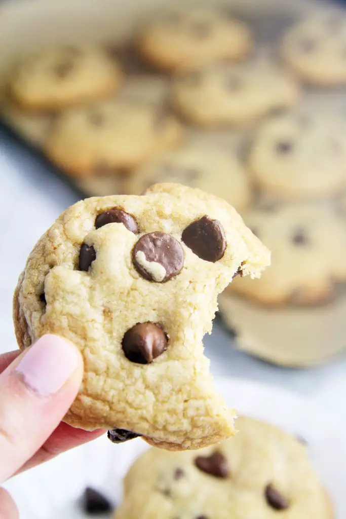 brown-butter-chocolate chip cookies-4