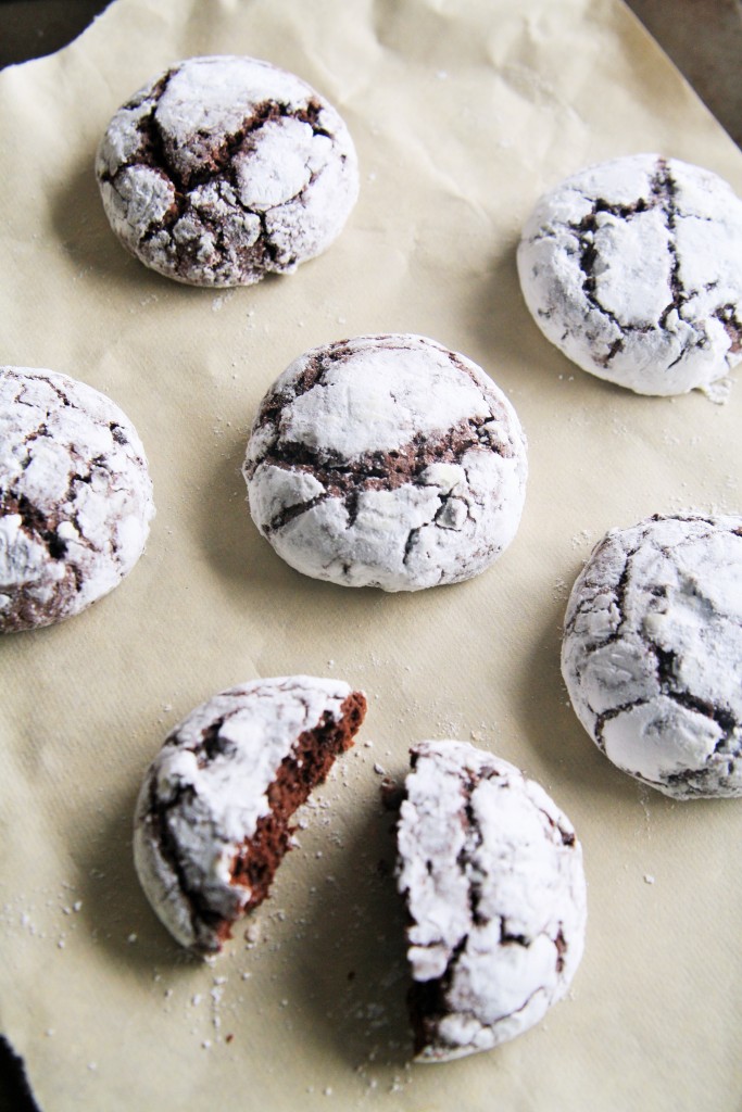 mexican-mocha-crinkle-cookies-1