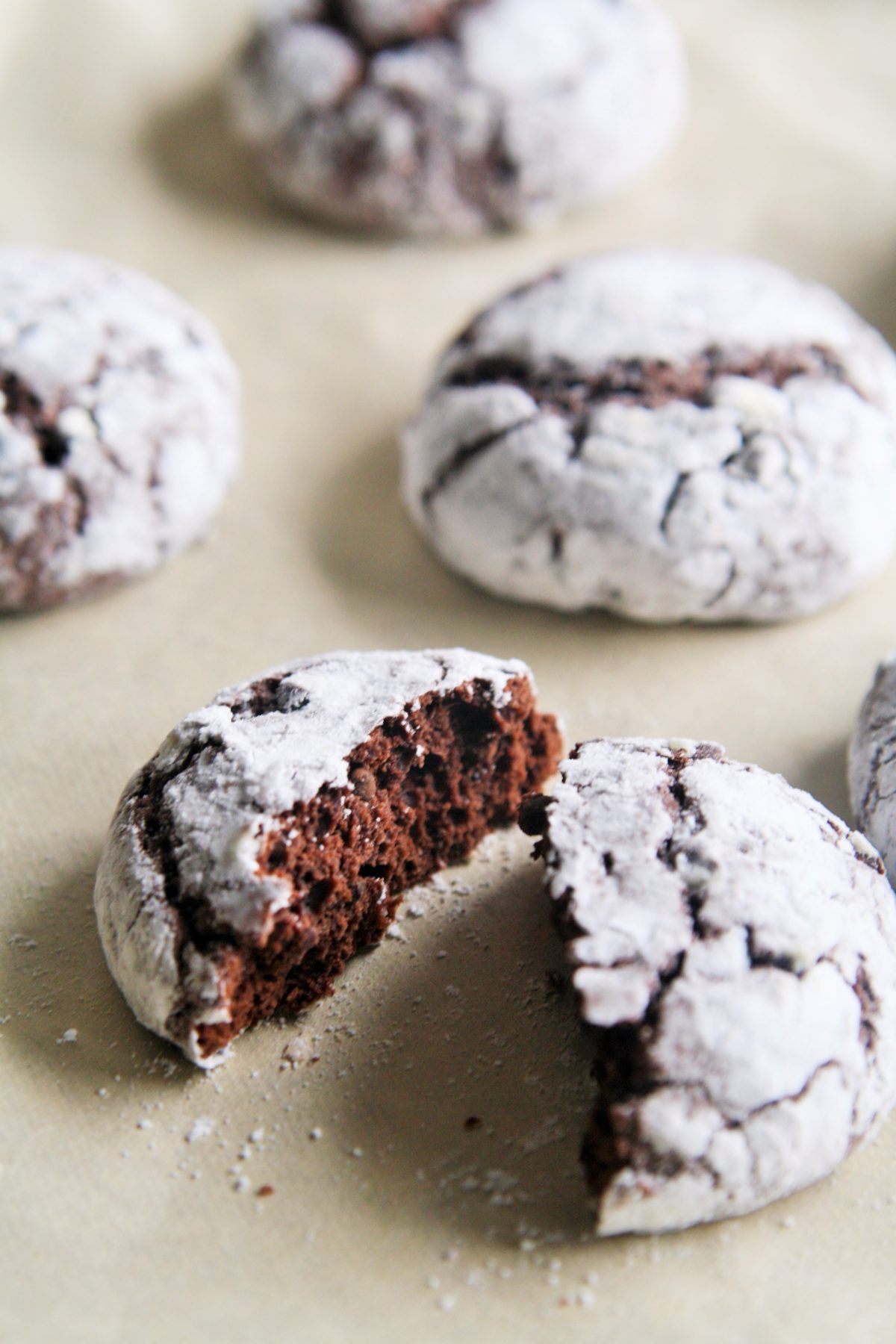 Mexican Mocha Crinkle Cookies - The Tasty Bite