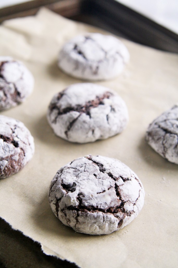 mexican-mocha-crinkle-cookies-3