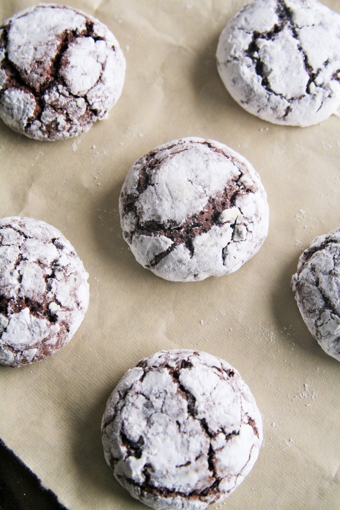 mexican-mocha-crinkle-cookies-4