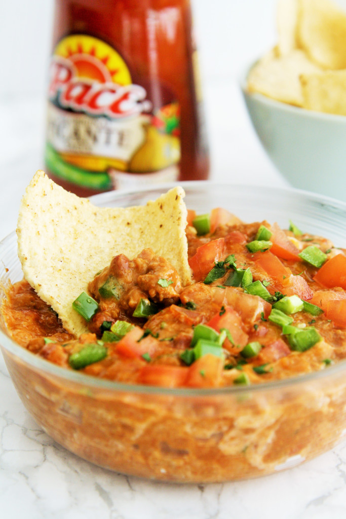 beef-salsa-dip-1