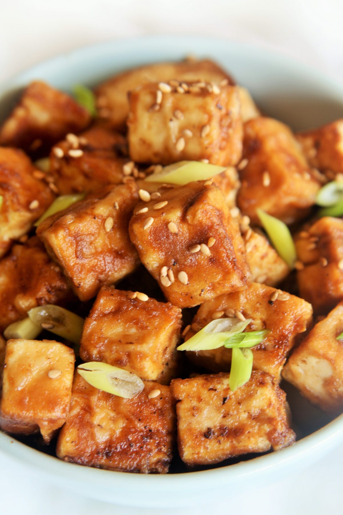 Teriyaki Tofu - The Tasty Bite