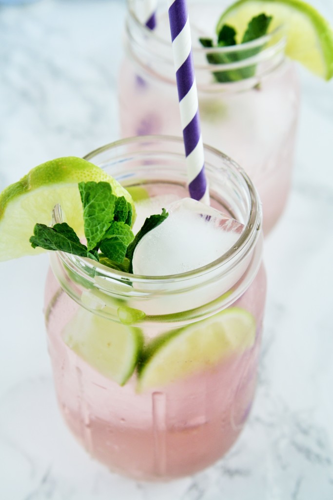 blackberry-ginger-ale-punch-4