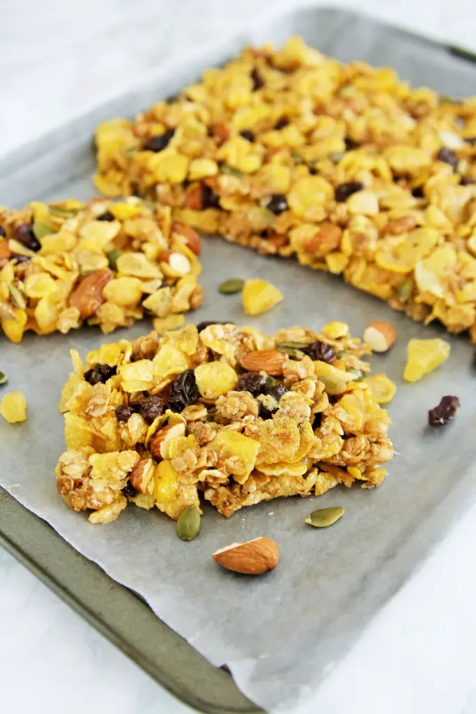 honey-trail-mix-cereal-bars-4