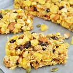 Honey Trail Mix Cereal Bars