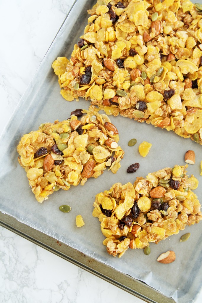 honey-trail-mix-cereal-bars-6