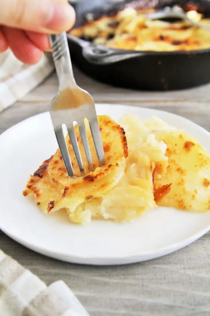 three-cheese-potato-gratin-5
