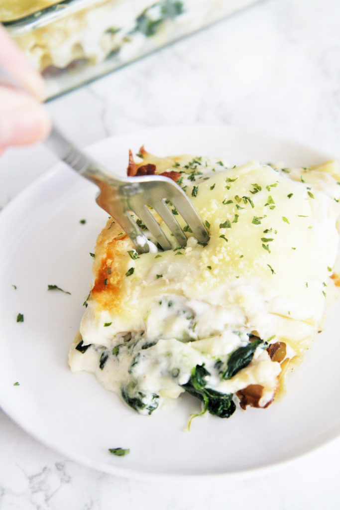 Cheesy, satisfying lasagna casserole made with chicken and spinach layered between lasagna noodles and creamy white sauce.