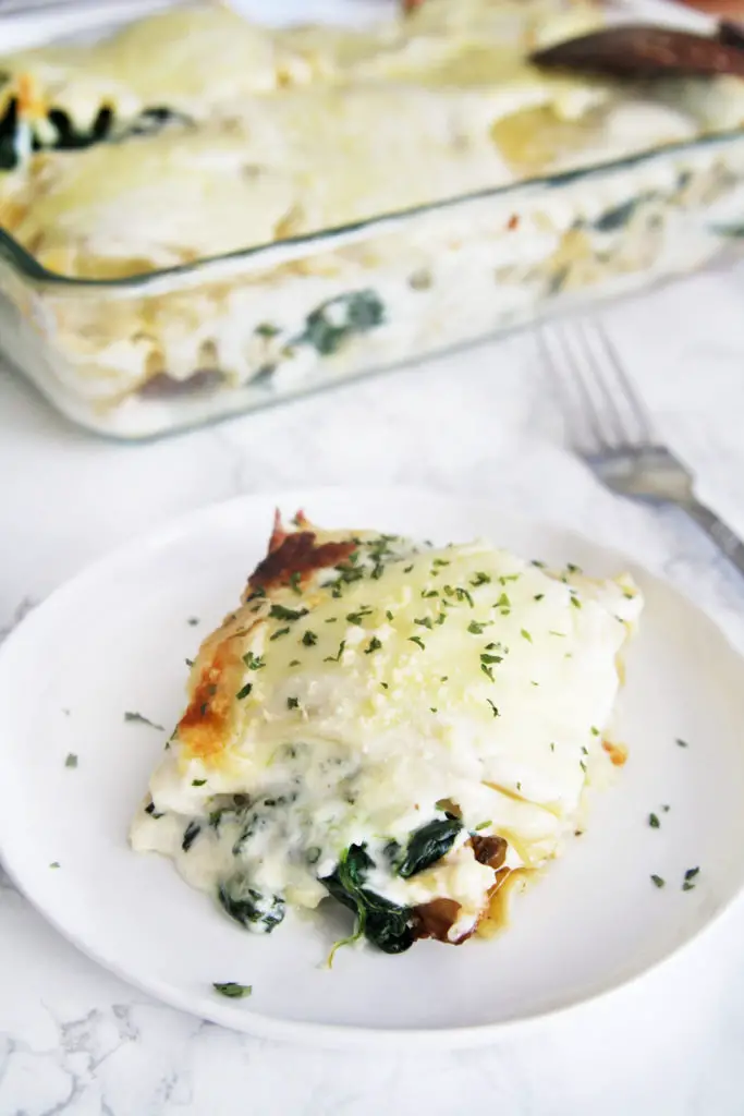 Cheesy, satisfying lasagna casserole made with chicken and spinach layered between lasagna noodles and creamy white sauce.