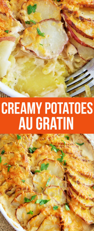 Creamy Potatoes Au Gratin - The Tasty Bite