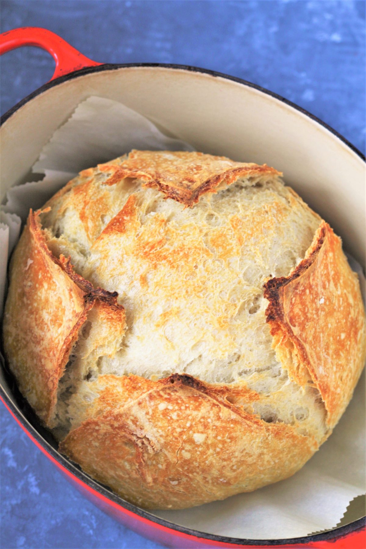 This easiest no knead bread recipe requires just FOUR basic ingredients and results in a perfectly crusty, golden artisan-style loaf with amazing chewy texture - either with an overnight method or a fast rise method!