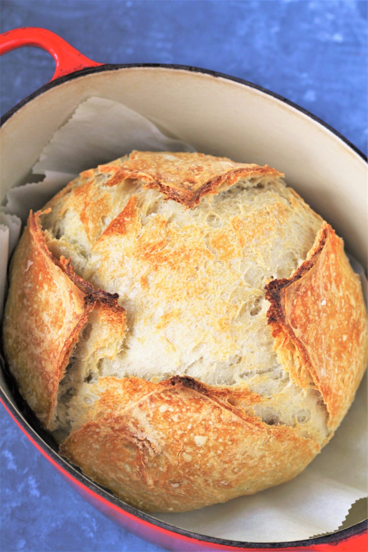 Dutch Oven No Knead Bread (with perfect crusty crust!) - Bowl of