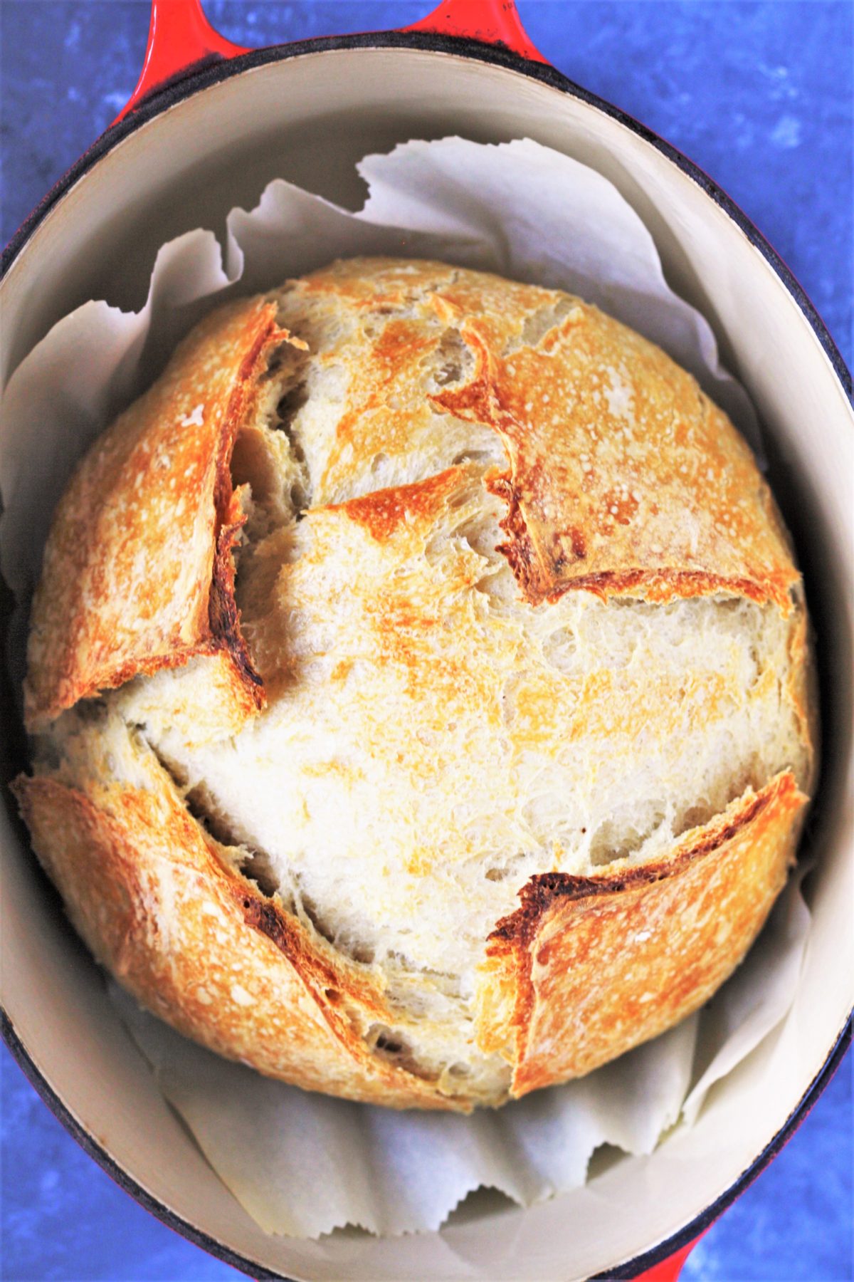 Dutch Oven No Knead Bread (with perfect crusty crust!) - Bowl of