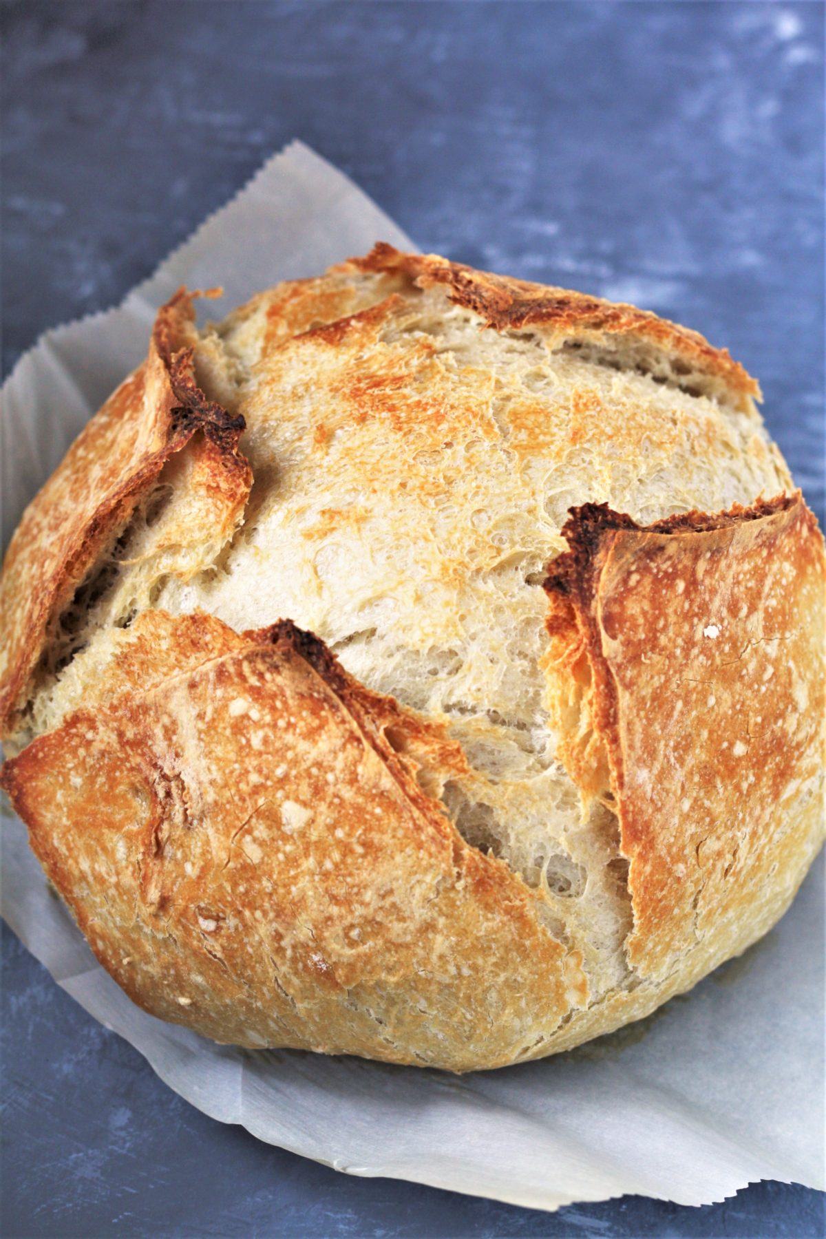 This easiest no knead bread recipe requires just FOUR basic ingredients and results in a perfectly crusty, golden artisan-style loaf with amazing chewy texture - either with an overnight method or a fast rise method!
