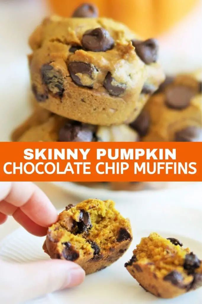 These pumpkin chocolate chip muffins are light on calories, but certainly not on taste - they're tender, moist, and packed with delicious Fall flavors!