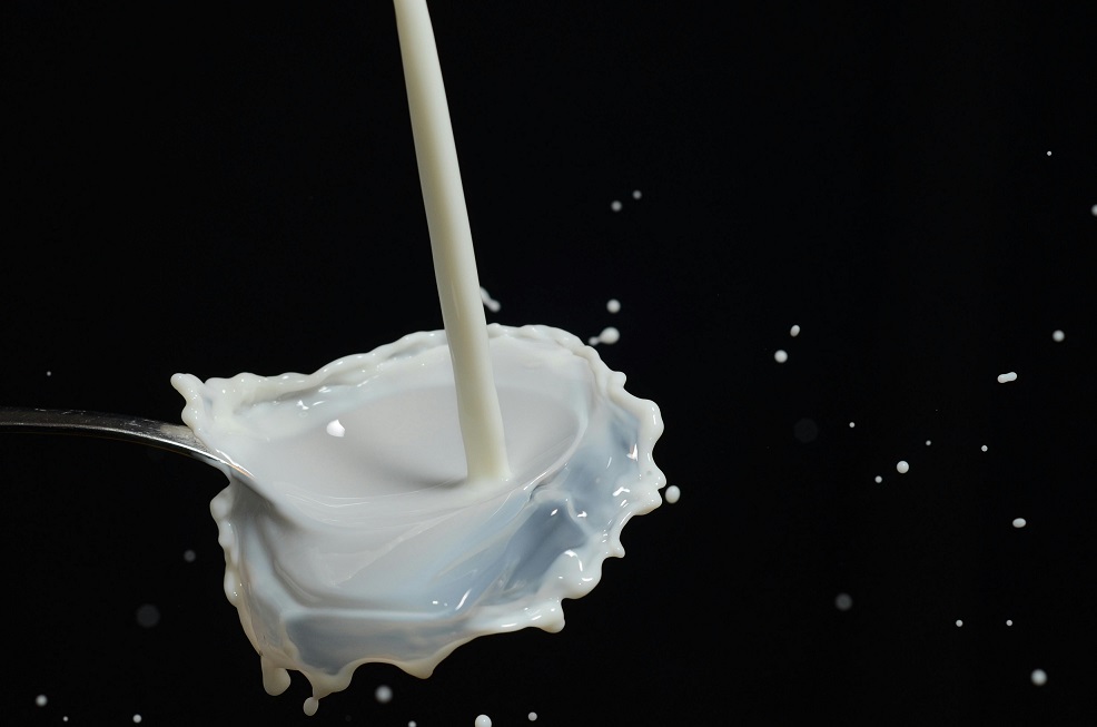 Can you put milk in a coffee maker? Learn what happens, safer alternatives, and how to make creamy coffee drinks without damaging your machine.