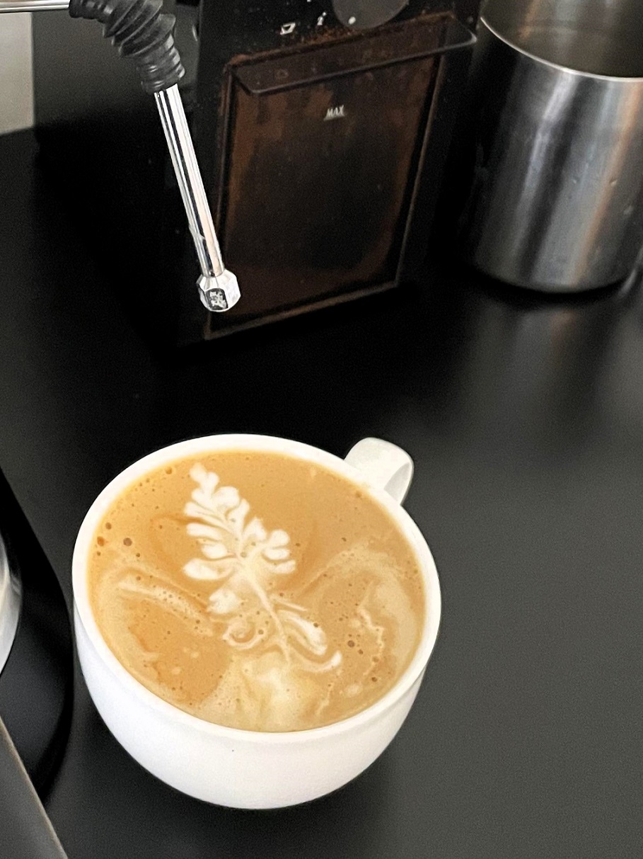Honest review of De’Longhi Stilosa espresso machine — budget-friendly, beginner-friendly, great espresso shots with 15-bar pump pressure.