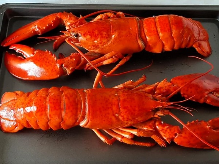 Learn how to cook Costco lobster tails, frozen or fresh, whole lobsters, and more with this beginner-friendly guide. Includes thawing tips, cooking times, and serving ideas!